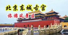 美女被老外大鸡巴轮流操逼中国北京-东城古宫旅游风景区